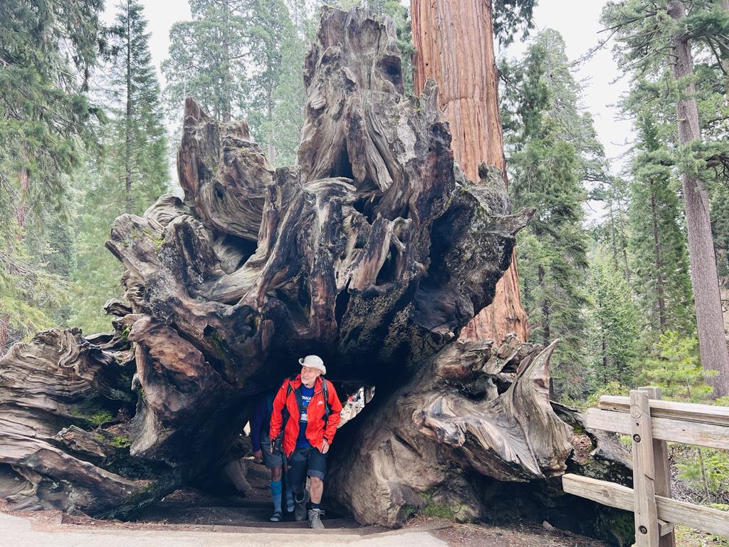 17f2606b 2f53 4452 9823 9829f5b52ecc