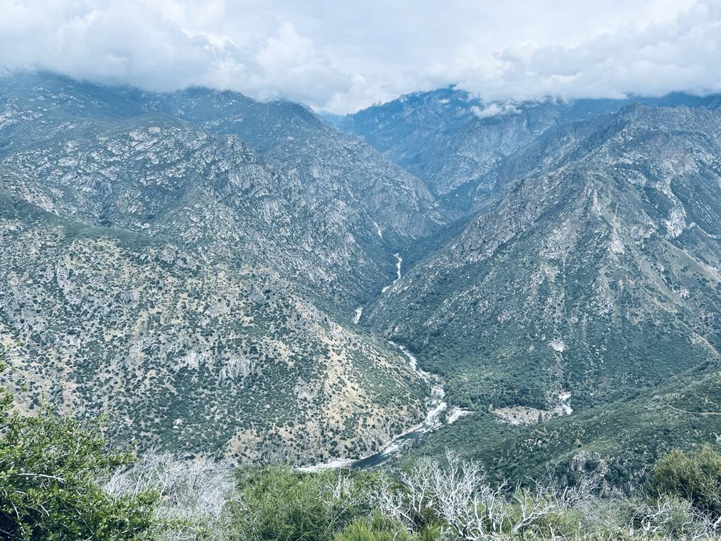 5ef0a351 6e46 4e70 b705 4dc59c5413a6