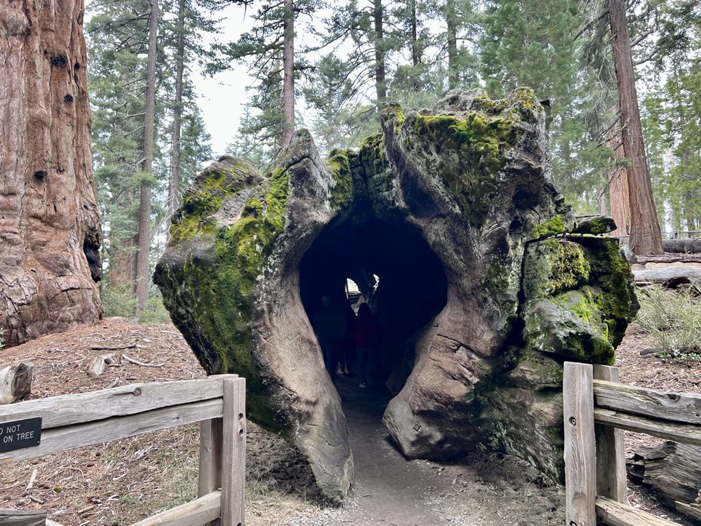 74f2df8a a3e0 44ae a1a0 36bdd155b530