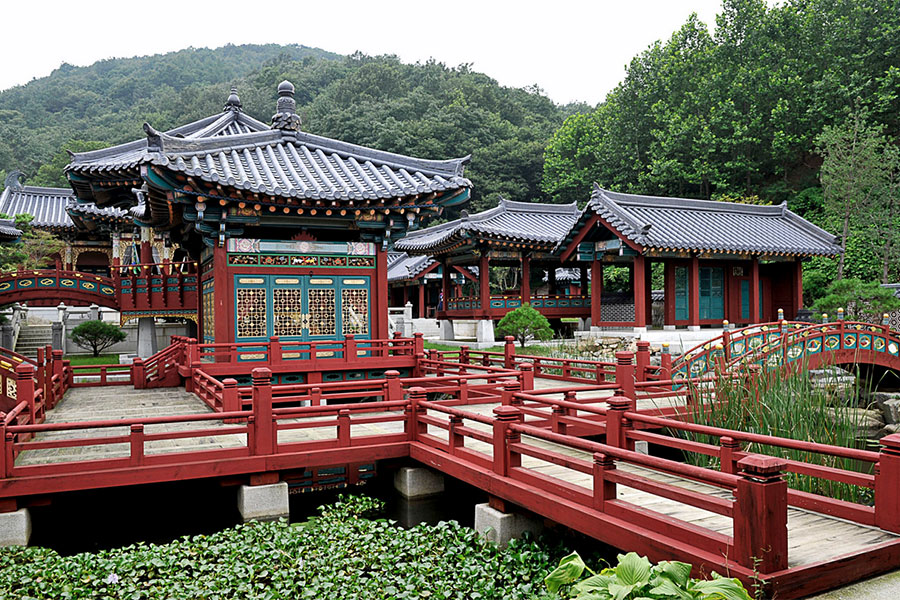 South Korea & Japan: Ngắm hoa anh đào