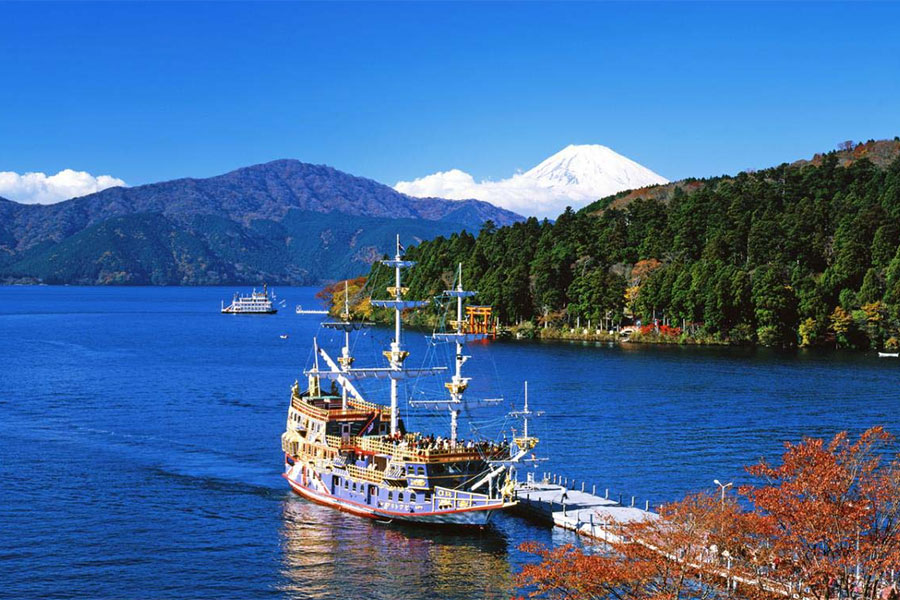 South Korea & Japan: Ngắm hoa anh đào