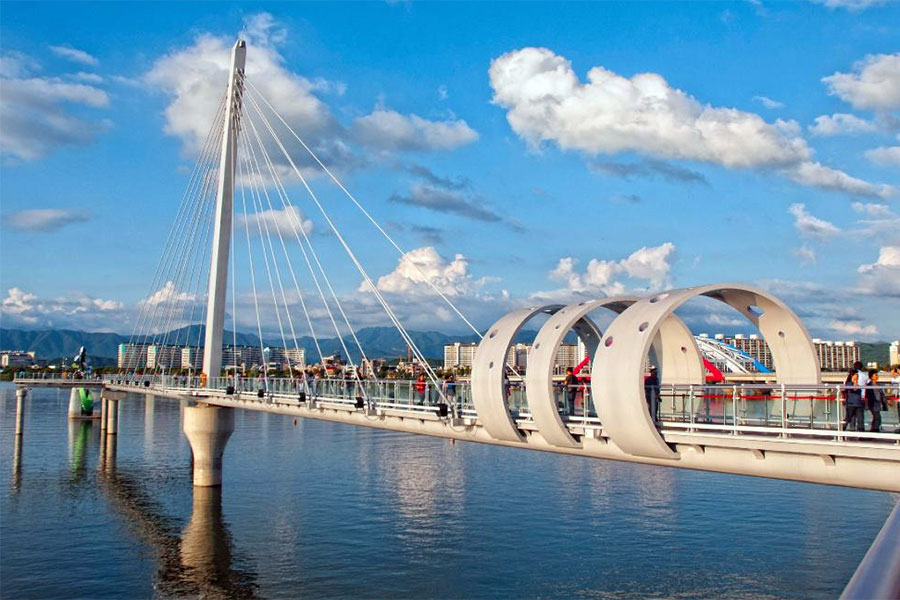South Korea & Japan: Ngắm hoa anh đào