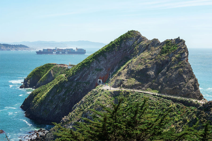 Tour San Francisco Dịp Lễ hội hoa Tulip và sự kiện đua thuyền