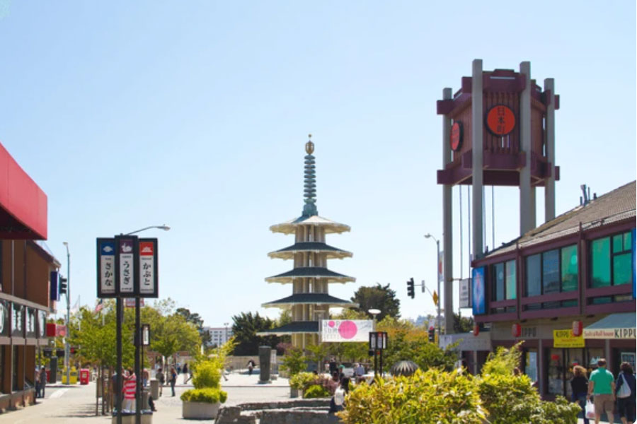 Tour San Francisco Dịp Lễ hội hoa Tulip và sự kiện đua thuyền